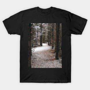 Photo of Mysterious Forest Trail Covered with Snow V2 T-Shirt